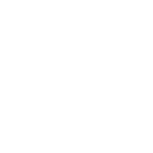 brandexpand logo